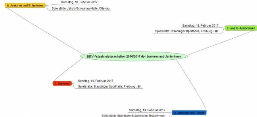 SBFV-Futsalmeisterschaften 2016/2017 / Bildquelle: Felix Gärtner (VJA)