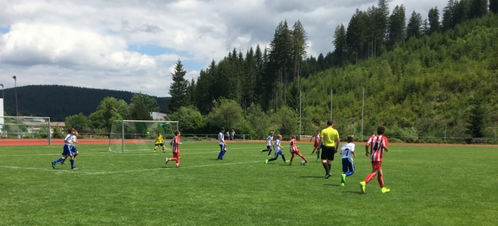 SBFV-Meisterschaft der D-Junioren 2017/2018 in Radolfzell